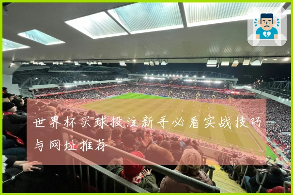 世界杯买球投注新手必看实战技巧与网址推荐