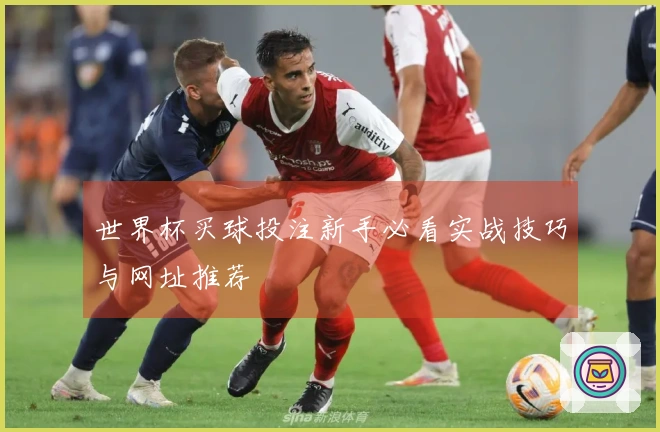 世界杯买球投注新手必看实战技巧与网址推荐
