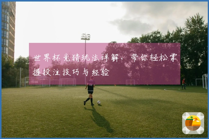 世界杯竞猜玩法详解，带你轻松掌握投注技巧与经验