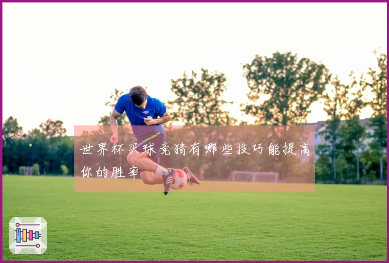 世界杯买球竞猜有哪些技巧能提高你的胜率